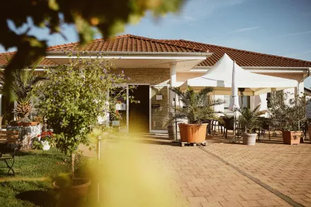 Vacation apartment at the Winzerhof with a view of the vineyards.