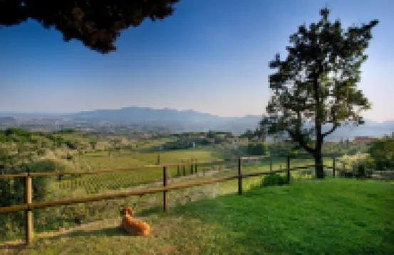 XII century farmhouse on the hills above Lucca with chef. Only local food.