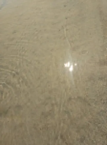 Cabin on Big Chippewa Lake for rent.  Located in Brandon, MN.