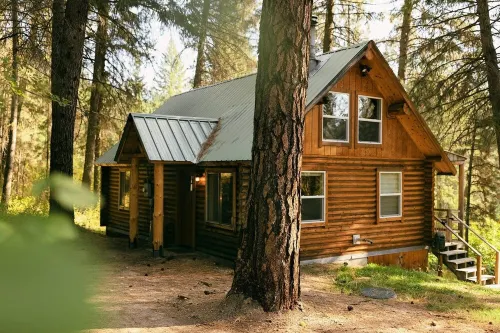 Modern romantic 2-bed log cabin in the forest - Feriehus