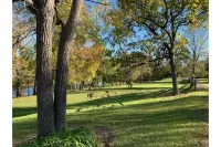 Viola River Lodge