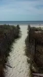 Easy Walk to Beach, Concerts, Publix, Splash Pad, Market.Bikes, Carts, & Chairs - 2성급