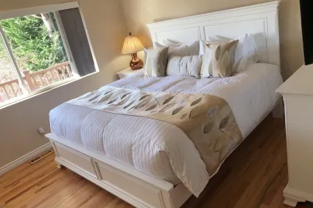 Sunny Paradiso, perfect location Seattle& Bellevue