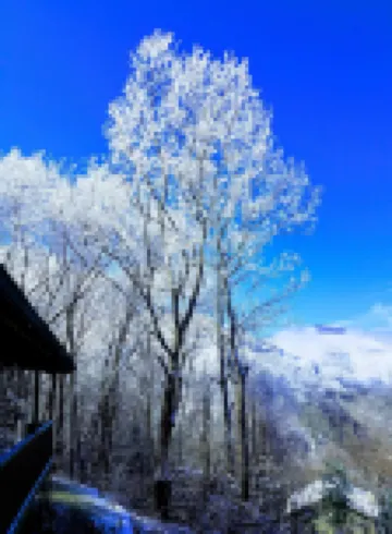 STUNNING VIEWS YEAR ROUND! Log Cabin, Hot Tub, Fireplace, Fire Pit, Private