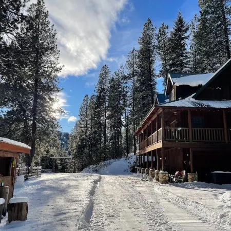 Private Cabin on 3 Acres for Outdoor Enthusiasts