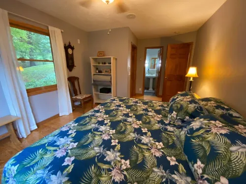 Sky Dog Pet Friendly Home Dupont Brevard Hiking Mountain Biking Porch Waterfalls