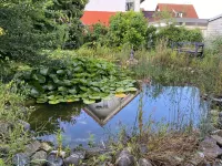 Beautiful vacation apartment just 500 meters from the lake