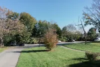 Stylist and spacious centrally located one bedroom apartment