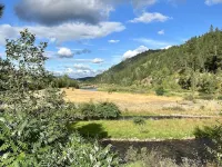 Bright Condo With Views & Easy Access to CDA River. Minutes From Gondola! ケロッグのホテル
