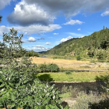 Bright Condo With Views & Easy Access to CDA River.  Minutes From Gondola!