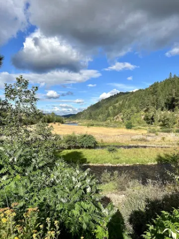 Bright Condo With Views & Easy Access to CDA River.  Minutes From Gondola!