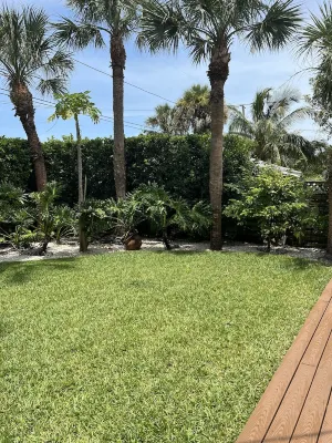 TRANQUIL COTTAGE 1 BLOCK FROM CLEARWATER BEACH