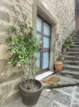 La Casina between sea and culture: relaxation and history.