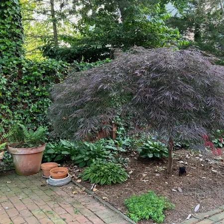 Historic Downtown Garden Oasis with Private Patio