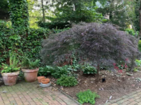 Historic Downtown Garden Oasis with Private Patio 切斯特敦酒店