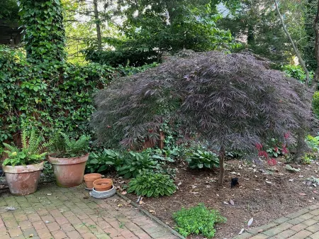 Historic Downtown Garden Oasis with Private Patio Отели рядом с достопримечательностью «Create»