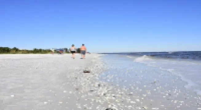 Beach Lovers Welcome, #303