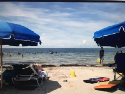 GREAT LOCATION WATERFRONT, HEATED POOL! BEAUTIFUL SUNSETS, ALL PETS STAY FREE! Hotels in Holiday