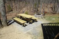 The Cardinal log cabin. Wrap around deck, firepit. Next to Pipestem resort park.
