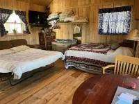 Togwotee Pass RamsHorn Peak Cabin + 15 Acres, Great View, Animal Friendly.
