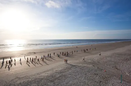 Winter Availability- 900 Beach House- 3/2 Upstairs Home-Steps to the beach Отели рядом с достопримечательностью «Marine Discovery Center»