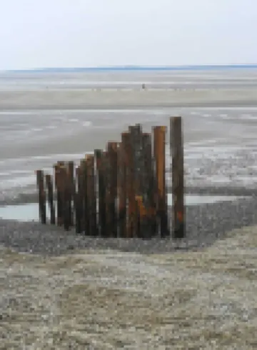 Luxury apartment 100 m from the beach