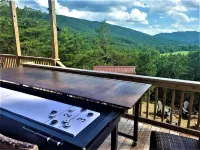 Modern Cabin at the End of the Road, SLIDE, SHUFFLEBOARD!