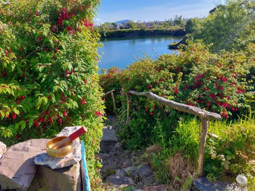 加拉格摩爾民宿 - 寵物友善