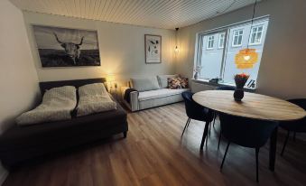 Cozy Flats Silkeborg - S2