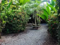 Cabinas Tropicales Hotels in Puerto Jimenez