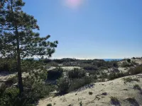 Soltroia Beach River & Golf Hotel a Carvalhal