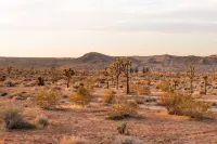 Cowboy Pool and Hot Tub - Stunning Desert Oasis