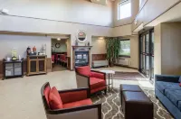 Comfort Inn & Suites Hotel di Chicopee