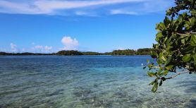 Welcome to Putuo Ecolodge, Hidden Germ of Solomon