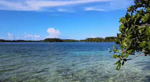 Welcome to Putuo Ecolodge, Hidden Germ of Solomon