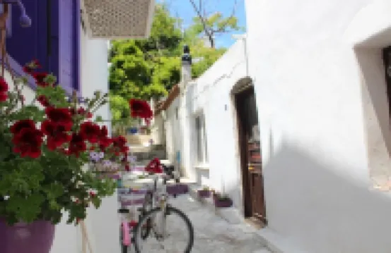 Amaranda Ada Evi