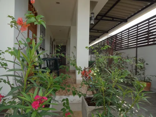 رينا هاوس تشيانغ ماي الأماكن العامة Photos