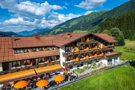 Hotel Gemma- Adults Only Отели в г. Брегенц