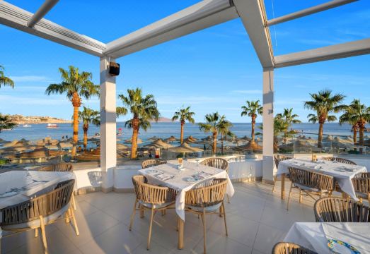 사보이 리조트 수영장 전경