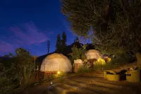 Milodge Elqui Domos