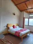 Wood Castle Luxury Home Stay Hotels in Ranikhet