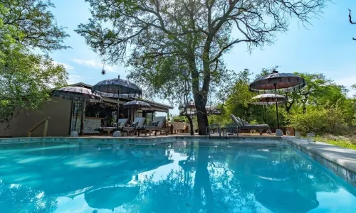 Safari Moon Luxury Bush Lodge