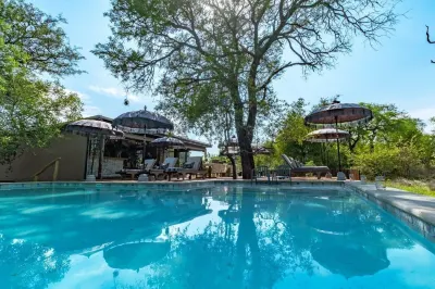Safari Moon Luxury Bush Lodge Hotels near Hoedspruit Wildlife Estate