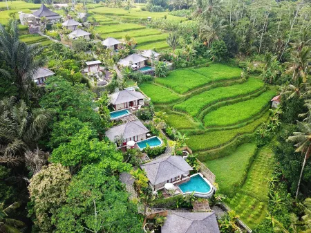 Nau Villa Ubud Отели рядом с достопримечательностью «Tukad Cepung Waterfall»