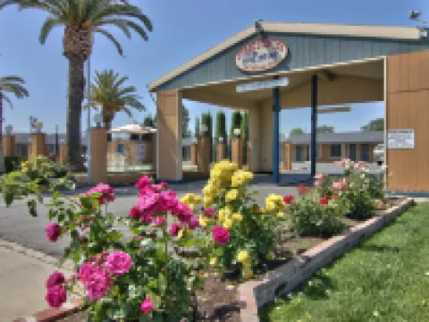 威廉斯司戴奇斯多普旅館 威廉斯酒店