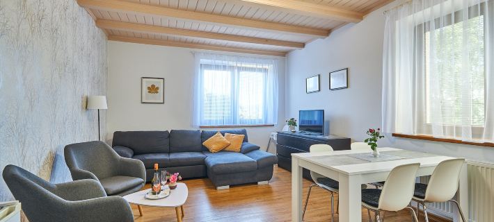 Villa Gap apartments Hotels in Cesky Krumlov