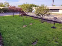 สปรูซวูด อินน์