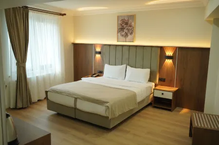 Lion City Hotel Отели в г. Demirtas Dumlupinar Osb