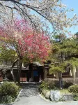 Kanzan