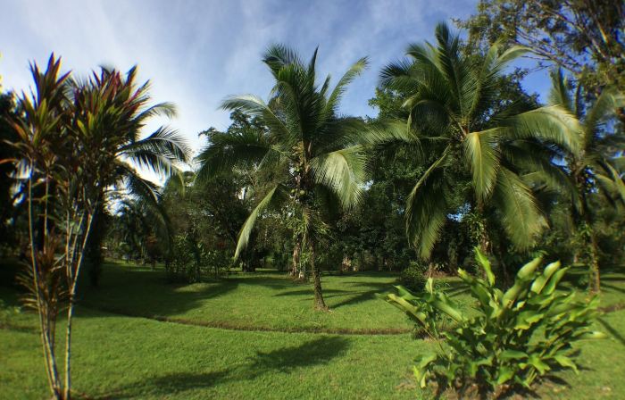 Caribbean Paradise Eco-Lodge